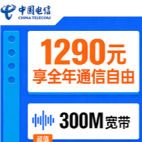 中国电信1290元全年通信自由套餐